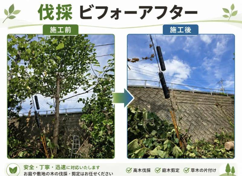 庭木の伐採 施工前と施工後の比較写真(自社の施工例)